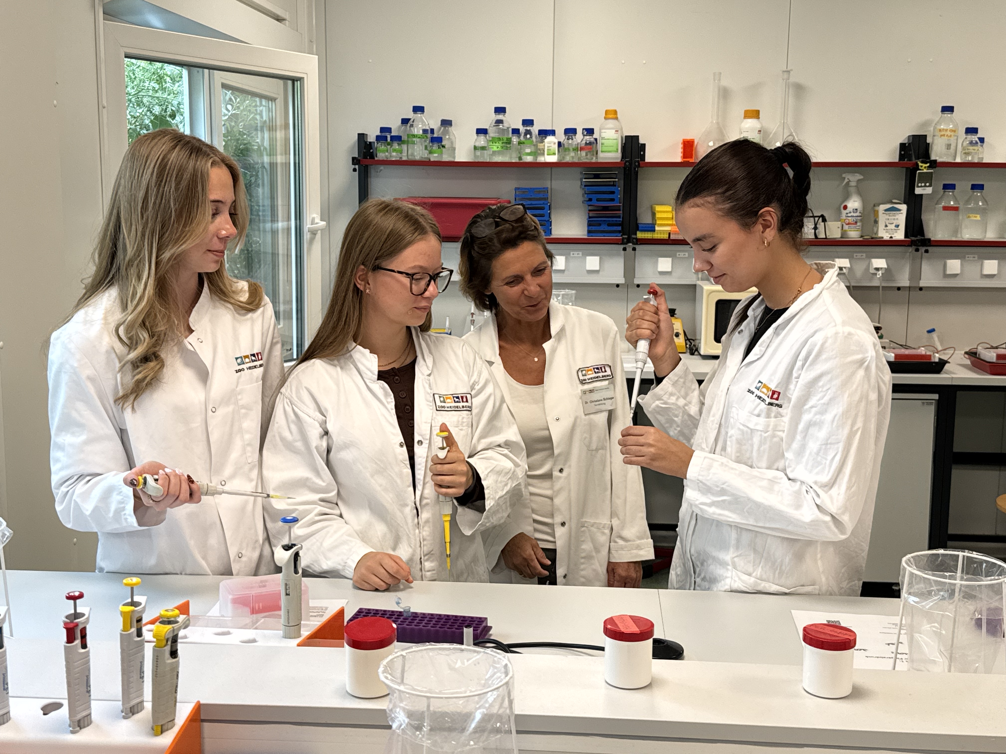 Training mit der Mikropipette Training mit der Mikropipette
